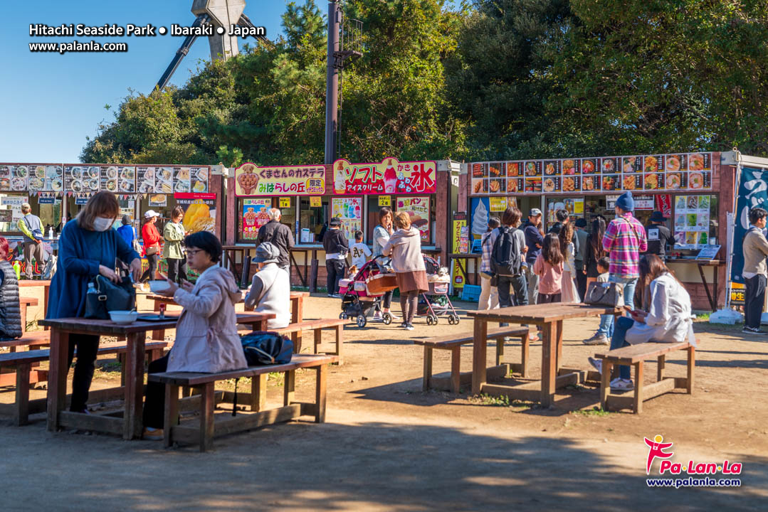 Hitachi Seaside Park